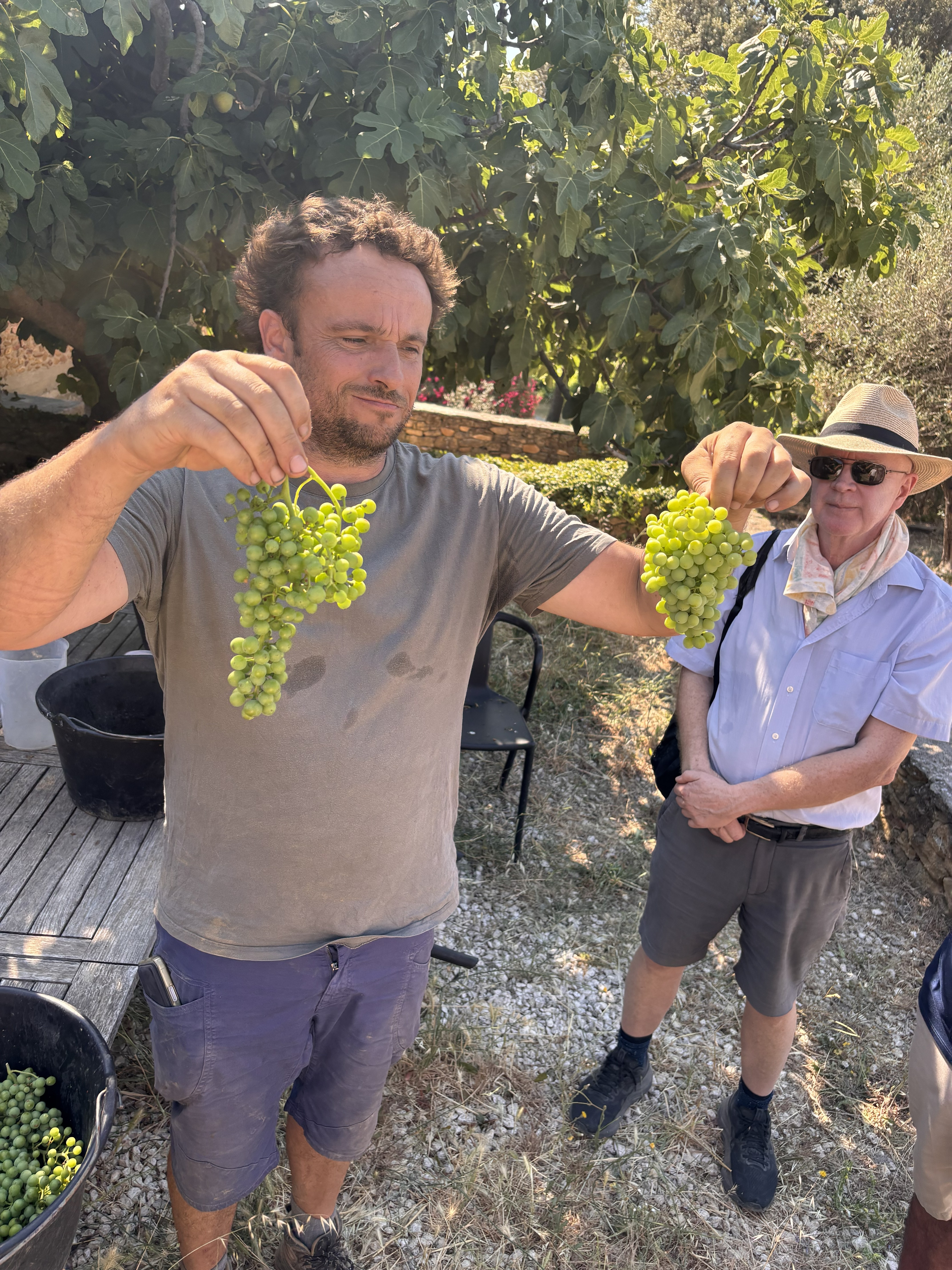 Florent Lançon of Domaine de la Solitude 